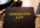 How Immigration Court Delays Can Lead to Habeas Corpus Challenges