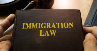How Immigration Court Delays Can Lead to Habeas Corpus Challenges
