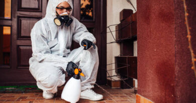 Comprehensive Pest Control Strategies In Tupelo: Ensuring Long-Term Protection